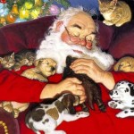 babbo natale gatti e cani babbo natale gatti e cani