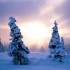 Natale 2001: in arrivo neve e maltempo