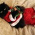 Natale 2011: la crisi non ferma il settore dell’abbigliamento