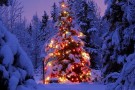 Decorazioni fai da te Natale 2013, le stelle brillanti Decorazioni fai da te Natale 2013, le stelle brillanti