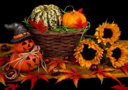 halloween troppo presto per pensarci
