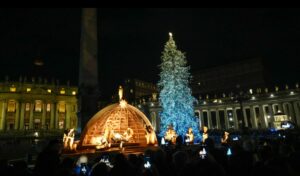 albero di Natale 2026 in piazza San Pietro