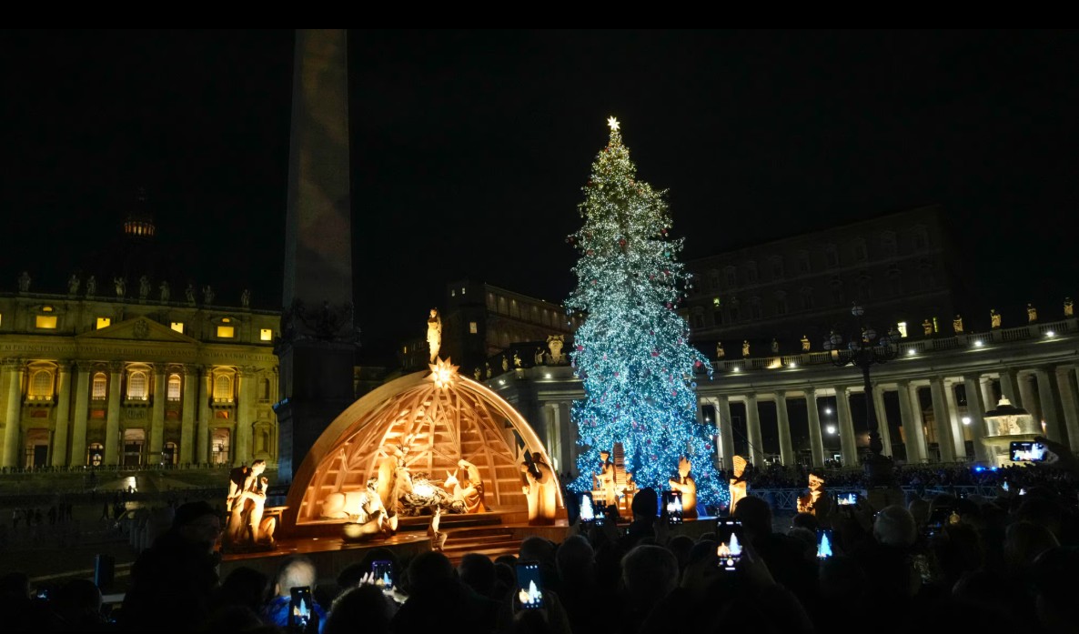 albero di Natale 2026 in piazza San Pietro